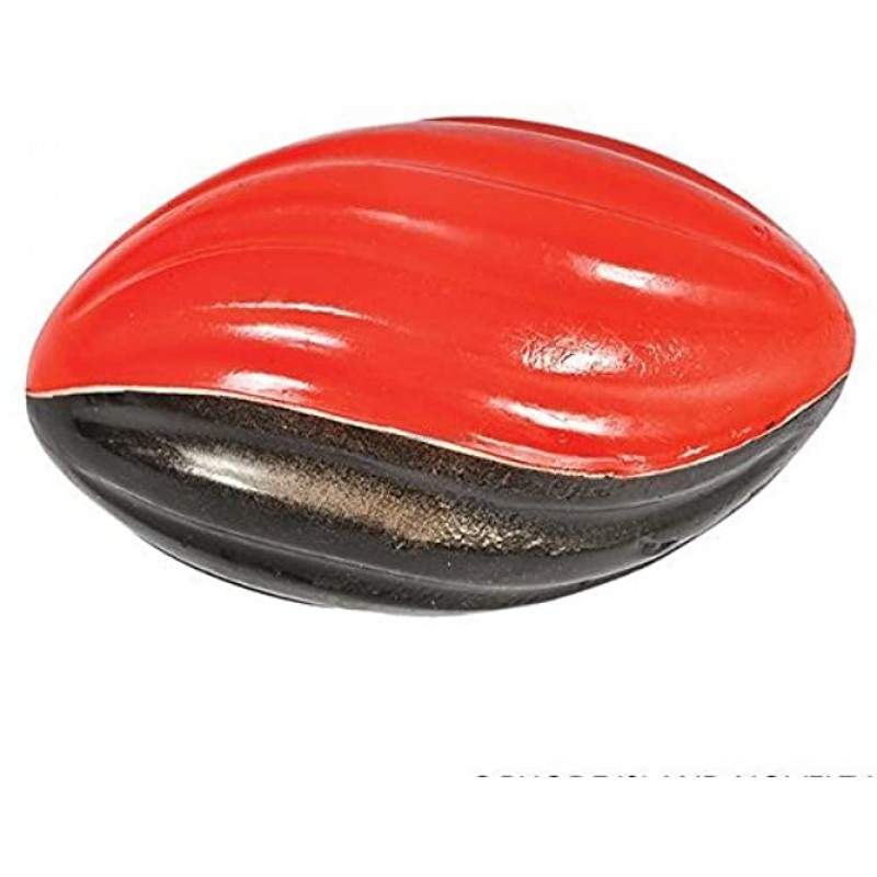 DollarItemDirect 5 inches Two Tone Spiral Football Case of 120