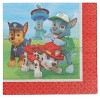 American Greetings Paw Patrol Paper Lunch Napkins for Kids 16-Count 581462