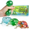 Frog Beadeez 3 Pack Stress Balls for Kids and Adults with Squishy Water Beads Animal Shaped Stress Relief Toys Fidget Sensory Toys for Autistic Children ADHD Anxiety Animal Birthday Party Favors